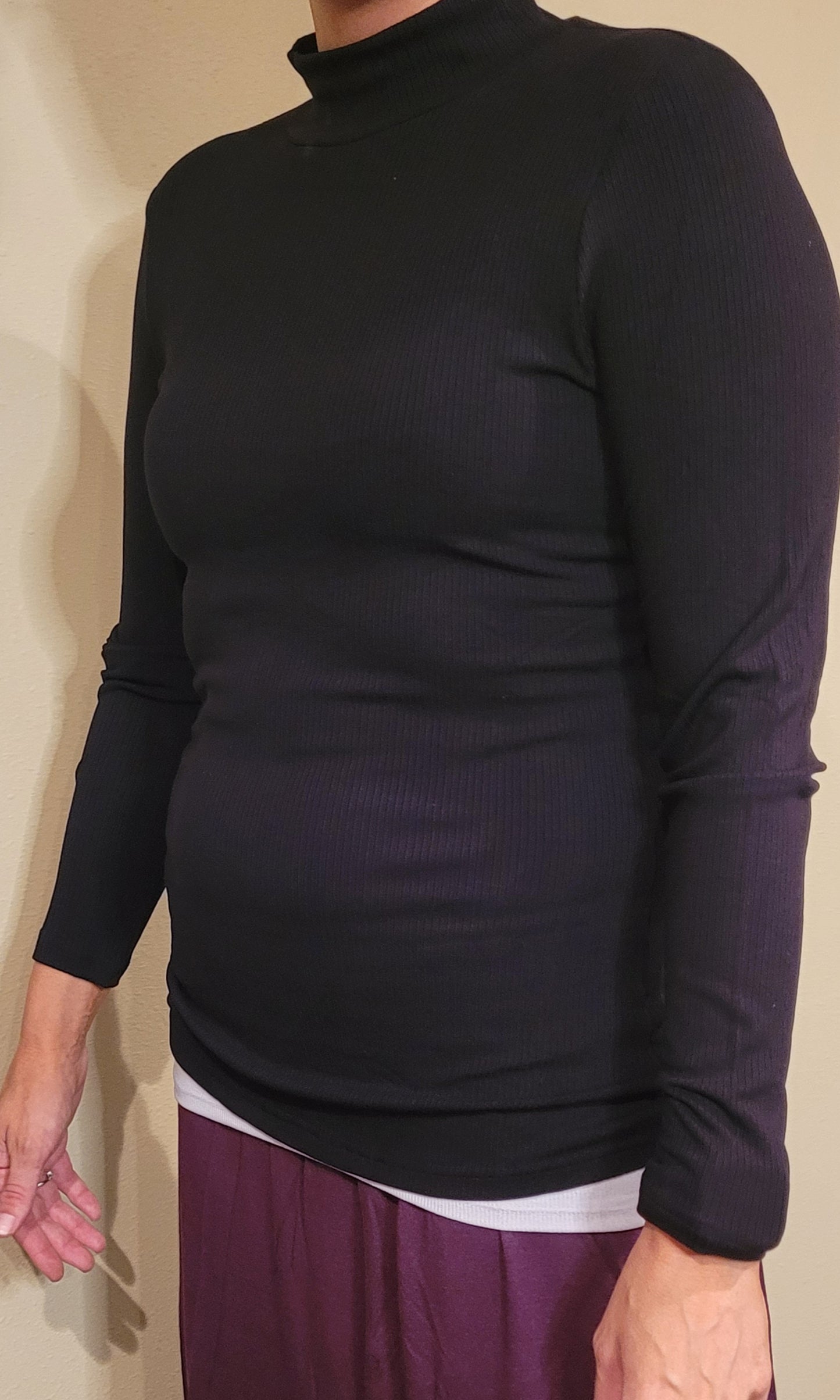 Marina Ribbed long Sleeve Mock Neck Top