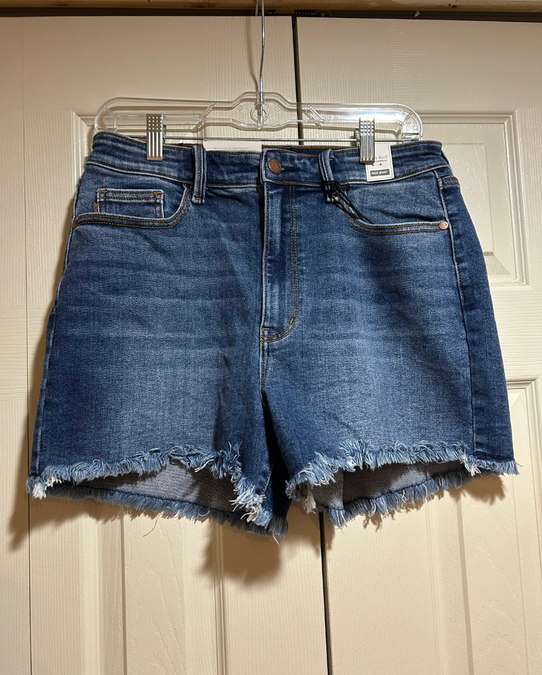 Judy Blue Shorts Raw Hem